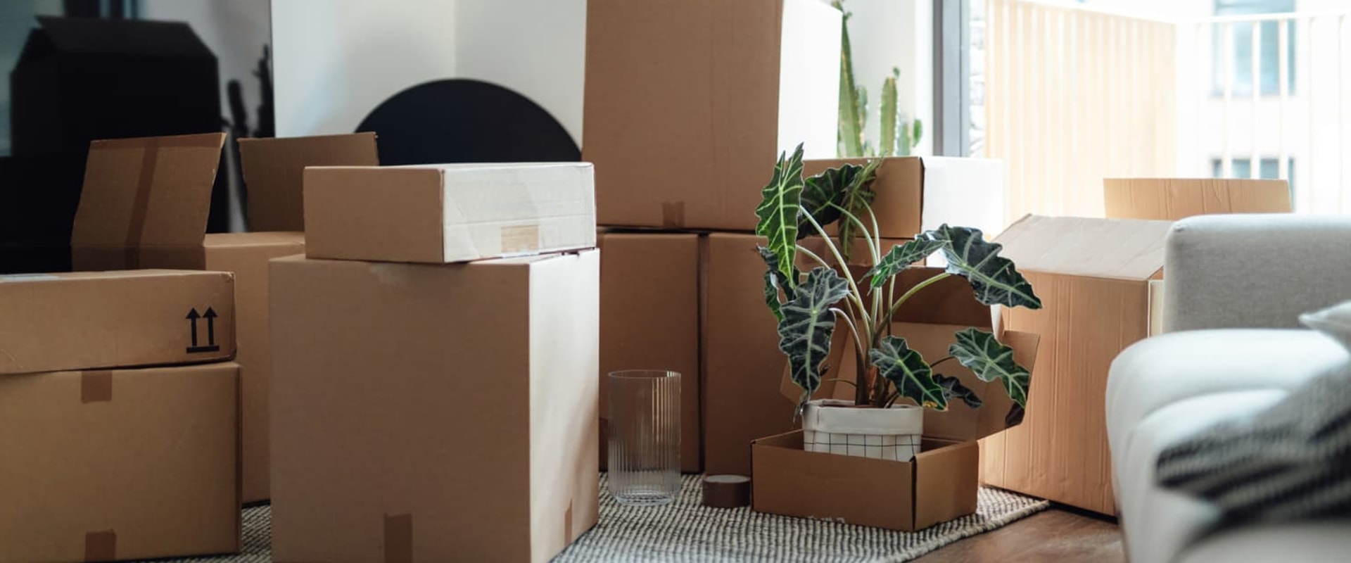 Top-Rated Hemet Movers: Your Guide to a Stress-Free Move
